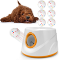 Atangee Automatic Ball Launcher for Dogs with 6 Balls - Orange