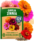 HOME GROWN Zinnia Dahlia Seeds – 524 Non-GMO Heirloom Flower Seeds for Pollinator Gardens, Borders & Containers, USDA Zones 2-11