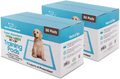 Best Pet Supplies XL Puppy Training Pads 100ct - Super Absorbent, Leak-Proof, Odor Control (36x28", Baby Blue)